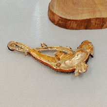 Load image into Gallery viewer, Exquisite Chameleon - shaped Brooch with Multicolored Crystal Embellishments
