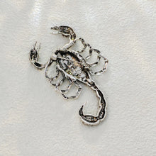 Load image into Gallery viewer, Steampunk Silver Tone Dark Gray Crystal Large Scorpion Brooch Pin Dangerous Insect Jewelry
