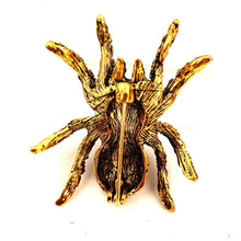 Load image into Gallery viewer, Jewelblings Gothic Vintage AB Accent Champagne Brown Crystal Spider Broach Pin Halloween Gift Jewelry for Unisex Costume Hat Bag Cape Coat
